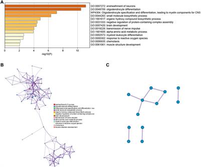 Single-cell sequencing of brain tissues reveal the central nervous system’s susceptibility to SARS-CoV-2 and the drug